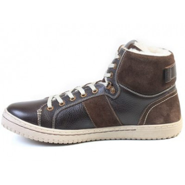 136409 Brown