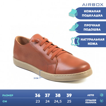 137242 Tan