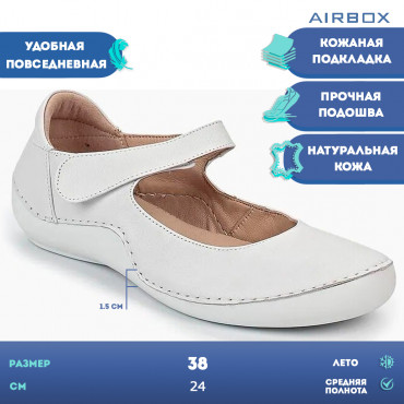 137537 White Кеды