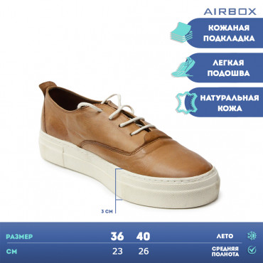 137119 Brown Кеды