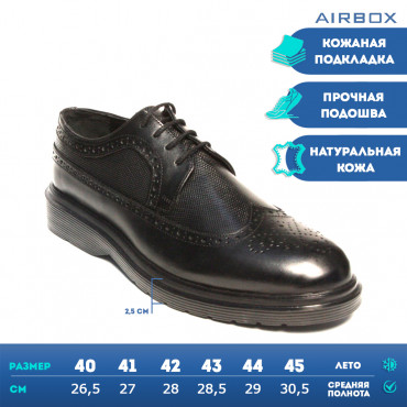 133420 Туфли blk